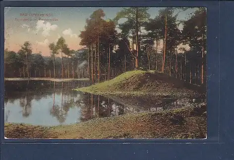 AK Bad Lippspringe Teichpartie im Fichtenwalde 1911