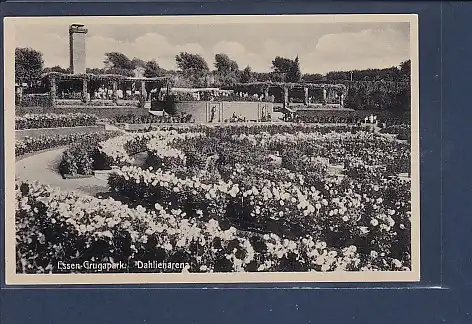 AK Essen Grugapark Dahlienarena 1940