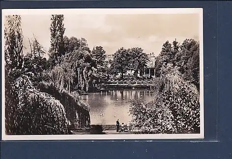 AK Frankfurt a.M. Zoologischer Garten Großer Weiher m.d. Zoo Terrassen 1960