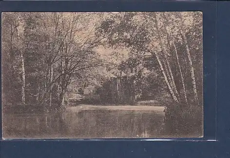 AK Gelnhausen See im Stadtpark 1919