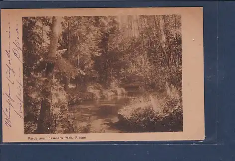 AK Partie aus Loeseners Park Rissen 1920