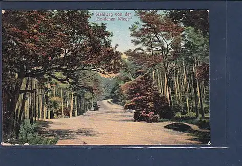 AK Waldweg von der Goldenen Wiege 1911