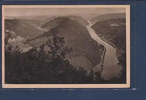 AK Blick von der Cloev ins Saartal 1919