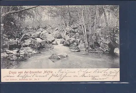 AK Gruss von der Rauscher Mühle 1901
