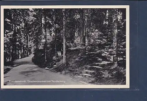 AK Freudenstadt Drachenbrunnen am Teuchelweg 1940