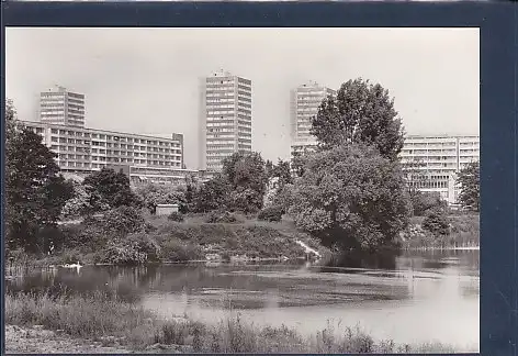 AK Frankfurt Lienau Teich im Botanischen Garten 1977