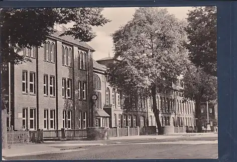 AK Neustrelitz Strelitz Ingenieurschule für Bauwesen 1968