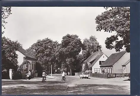 AK Stahnsdorf - Wilhelm Külz Straße 1979