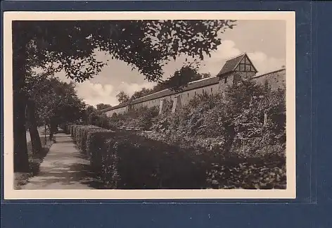 AK Zerbst Anhalt Puschkin Promenade 1955
