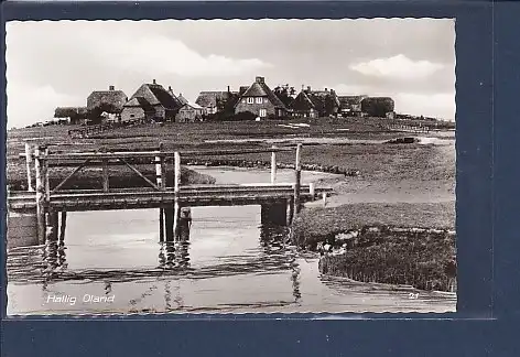 AK Hallig Oland 1960