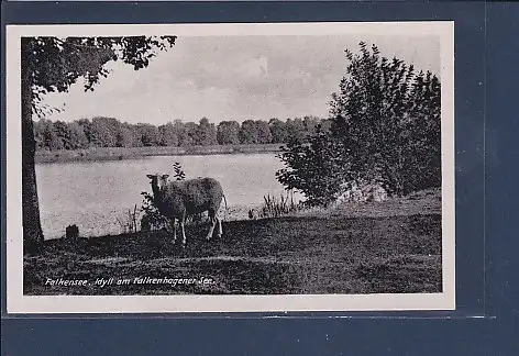 AK Falkensee Idyll am Falkenhagener See 1960