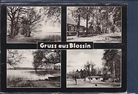 AK Gruss aus Blossin 4.Ansichten 1968