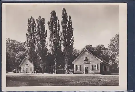 AK Potsdam Stallungen gegenüber der Pfaueninsel 1951