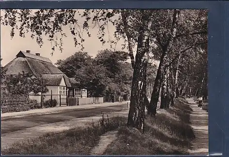 [Ansichtskarte] AK Graal Müritz Seeheilbad - Ländliches Idyll Müritz Mitte 1968. 