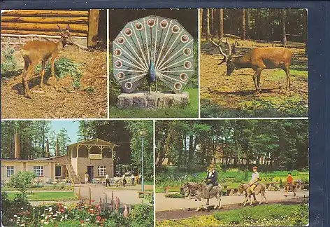 [Ansichtskarte] AK Gruß aus dem Tierpark Ueckermünde 5.Ansichten 1979. 