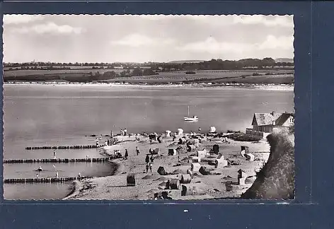 [Ansichtskarte] AK Ostseebad Hohwacht Blick vom hohen Ufer 1960. 