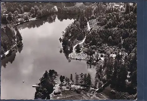 [Ansichtskarte] AK Die Waldschenke das Rasthaus am Ebnisee Luftaufnahme 1954. 