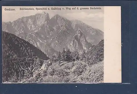 [Ansichtskarte] AK Gesäuse Reichenstein Sparafeld u. Kalbling 1920. 