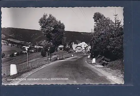 [Ansichtskarte] AK Sommerfrische Fischbach ( Oststeiermark) 1971. 