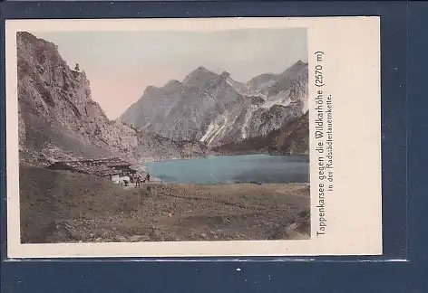 [Ansichtskarte] AK Tappenkarsee gegen die Wildkarhöhe Radstädtertauernkette 1920. 