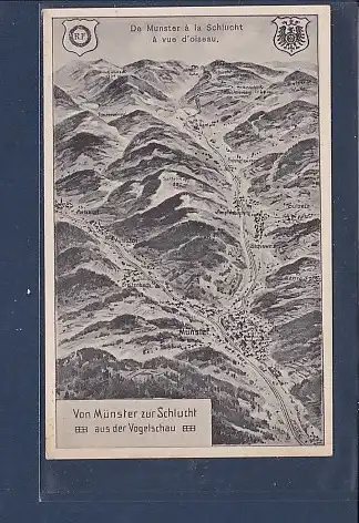 [Ansichtskarte] AK Von Münster zur Schlucht aus der Vogelschau 1935. 