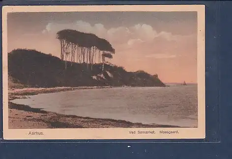 [Ansichtskarte] AK Aarhus Ved Somaerket. Moesgaard 1930. 