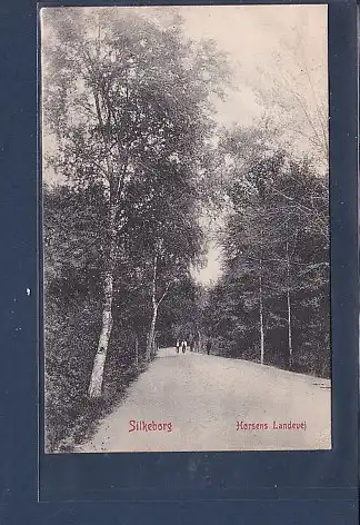 [Ansichtskarte] AK Silkeborg Horsens Landevej 1928. 