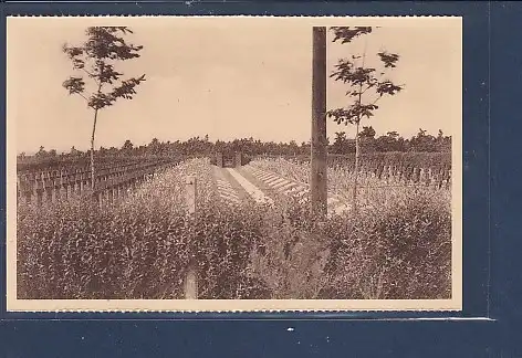[Ansichtskarte] AK Zillebeck ( Wijk Hooge) Deutscher Kriegerfriedhof 1920. 