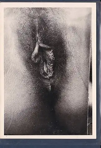 [Ansichtskarte] Foto Agfa Behaarte Vagina 1950. 
