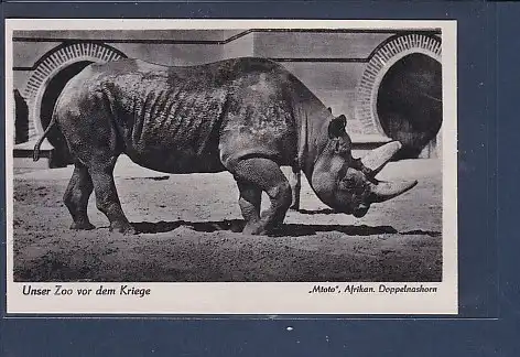 [Ansichtskarte] AK Unser Zoo vor dem Kriege Mtoto Afrikan. Doppelnashorn 1940. 