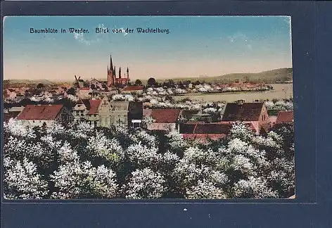 [Ansichtskarte] AK Baumblüte in Werder Blick von der Wachtelburg 1922. 