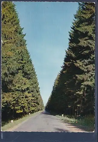 [Ansichtskarte] AK Neuhaus im Solling Kegelbahn 1966. 