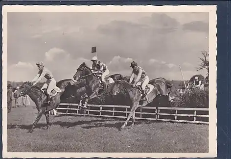 [Ansichtskarte] AK Springreiten 1950. 