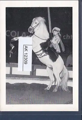 [Ansichtskarte] AK Scarlett Renee Golgojew Zirkus Pferdedressur 1950. 