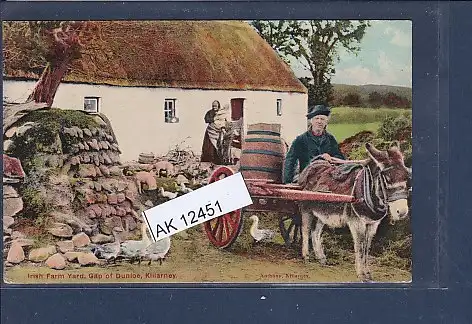 [Ansichtskarte] AK Irish Farm Yard Gap of Dunioe Killarney 1920. 