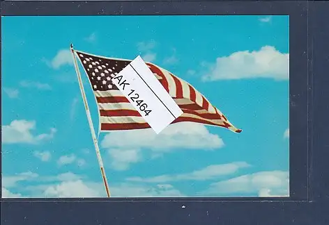 [Ansichtskarte] AK The Flag of the United States The Stars and Stripes 1960. 