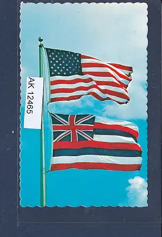 [Ansichtskarte] AK Hawaii State Flag 1960. 