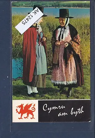 [Ansichtskarte] AK Wales For Ever Cymzu am byth 1950. 