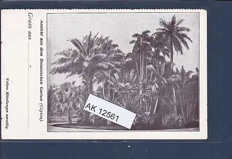 [Ansichtskarte] AK Ansicht aus dem Botanischen Garten ( Ceylon) Adolph Richter & Co Hamburg 1920. 