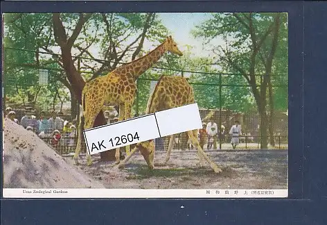 [Ansichtskarte] AK Ueno Zoological Gardens 1950. 