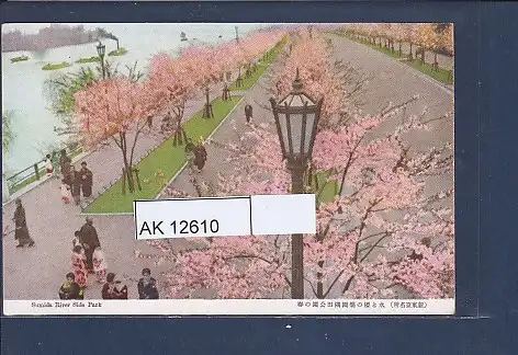 [Ansichtskarte] AK Sumida River Side Park 1950. 