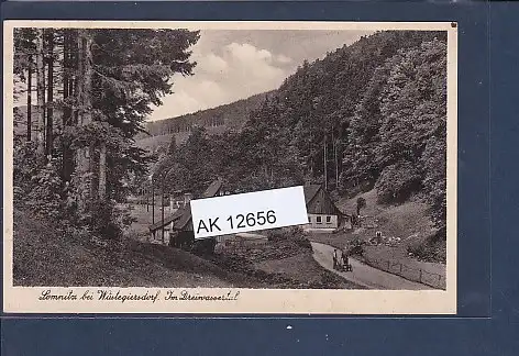 [Ansichtskarte] AK Lomnitz bei Wüstegiersdorf Im Dreinwassertal 1930. 