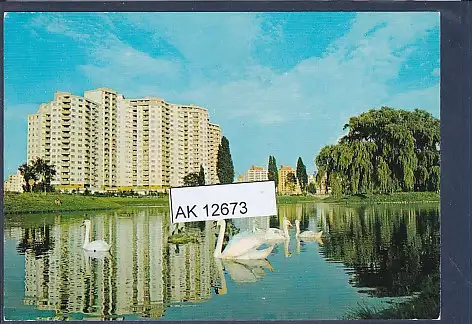 [Ansichtskarte] AK Berlin Märkisches Viertel Seggeluch Becken 1970. 