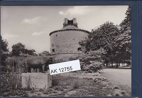 [Ansichtskarte] AK Erfurt DDR Gartenbauausstellung Gräsergarten und Volkssternwarte 1966. 
