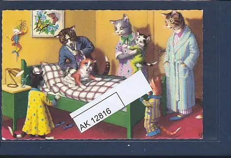 [Ansichtskarte] AK Vermenschlichte Katzen Katze erkrankt mit Arzt 1972. 