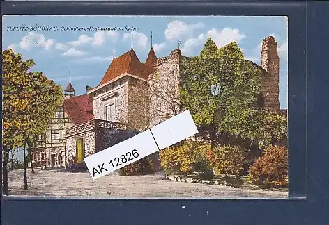 [Ansichtskarte] AK Teplitz Schönau Schloßberg Restaurant m. Ruine 1930. 