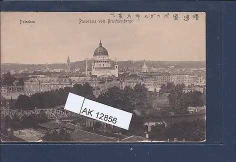 [Ansichtskarte] AK Potsdam Panorama vom Brauhausberge 1920. 