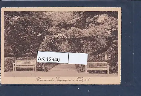 [Ansichtskarte] AK Badenweiler Eingang zum Kurpark 1917. 
