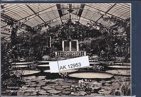 [Ansichtskarte] AK Frankfurt Palmengarten Viktoria Regia Haus 1940. 