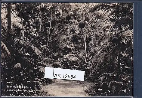 [Ansichtskarte] AK Frankfurt Palmengarten - Palmenhaus 1940. 